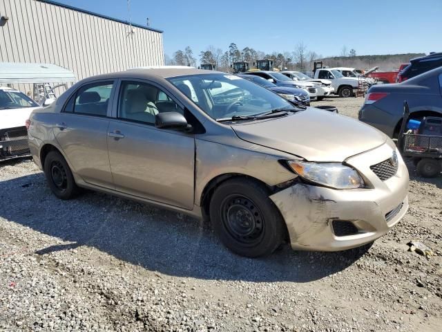 2010 Toyota Corolla Base