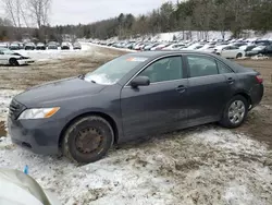 Toyota salvage cars for sale: 2009 Toyota Camry Base