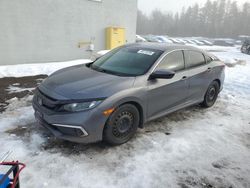 Salvage cars for sale at Cookstown, ON auction: 2019 Honda Civic LX