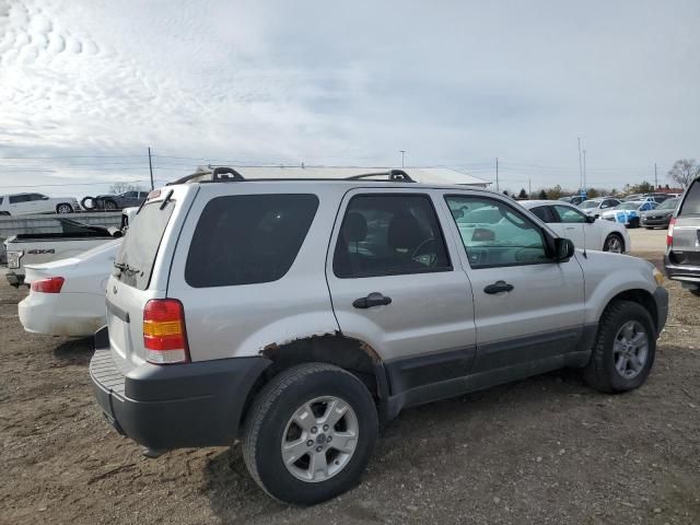 2005 Ford Escape XLT