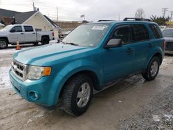 Salvage cars for sale at Northfield, OH auction: 2012 Ford Escape XLT