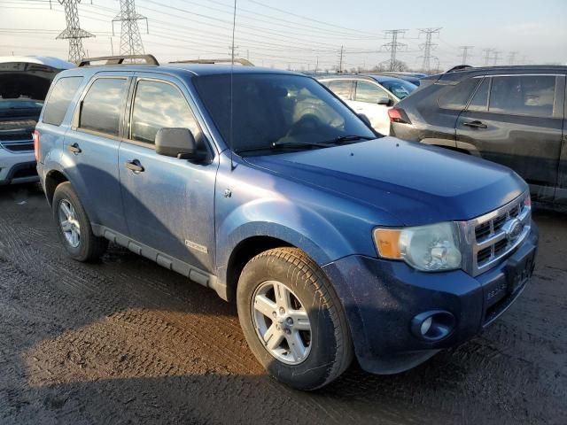 2008 Ford Escape HEV