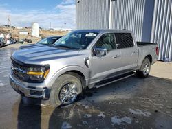 Salvage cars for sale at Reno, NV auction: 2024 Ford F150 XLT