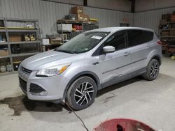 Salvage cars for sale at Chambersburg, PA auction: 2013 Ford Escape SE