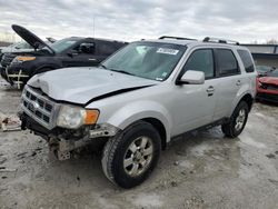 Salvage cars for sale at Wayland, MI auction: 2009 Ford Escape Limited