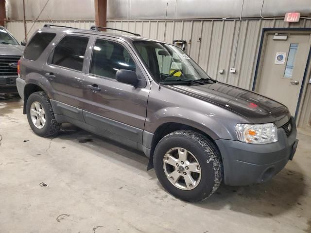 2005 Ford Escape XLT