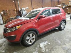 Salvage cars for sale at Ebensburg, PA auction: 2013 KIA Sportage LX