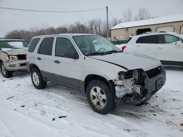 2007 Ford Escape XLT