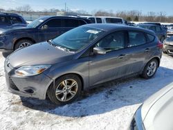 Salvage cars for sale at Louisville, KY auction: 2014 Ford Focus SE