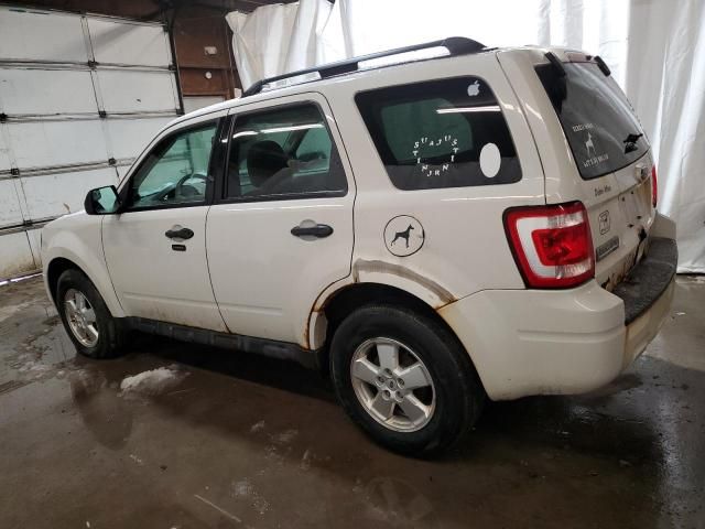 2011 Ford Escape XLT