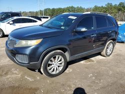 2011 KIA Sorento Base en venta en Greenwell Springs, LA