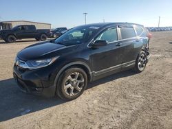 Salvage cars for sale at Temple, TX auction: 2019 Honda CR-V EXL