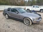 2006 Ford Mustang