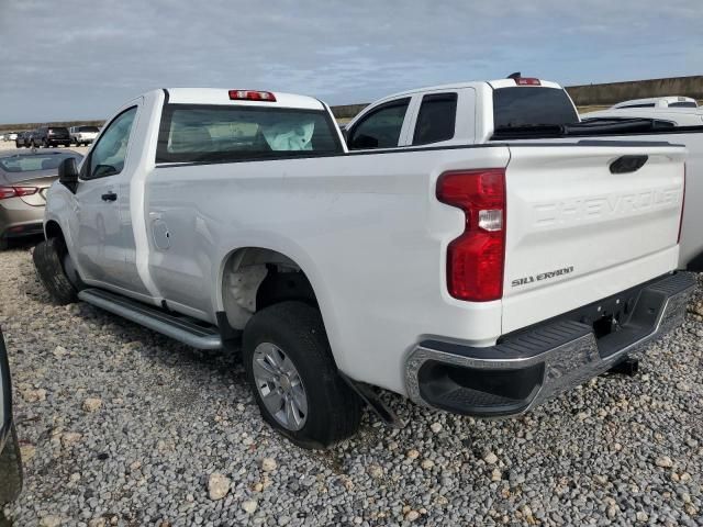 2024 Chevrolet Silverado C1500