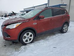 Salvage cars for sale at Wayland, MI auction: 2014 Ford Escape SE