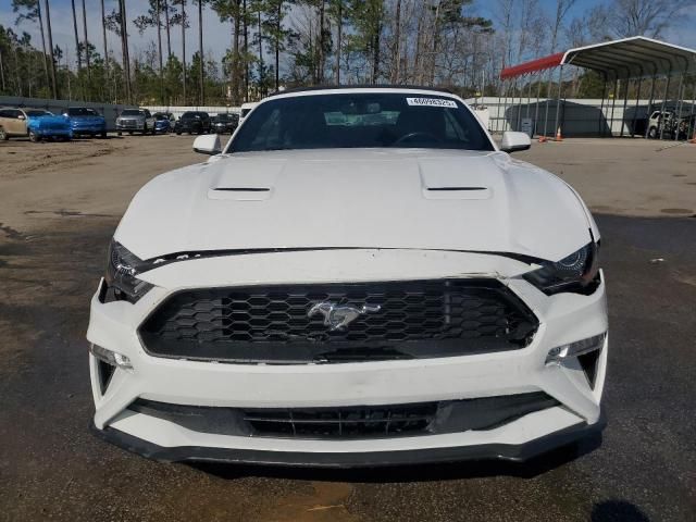 2019 Ford Mustang