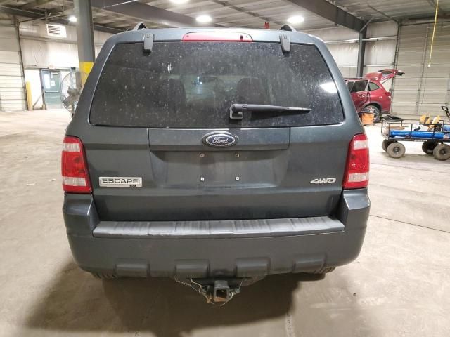 2008 Ford Escape XLT