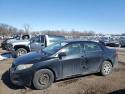 Salvage cars for sale at Des Moines, IA auction: 2009 Toyota Corolla Base