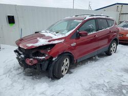 Salvage cars for sale at Albany, NY auction: 2013 Ford Escape SE