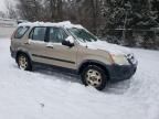 2005 Honda CR-V LX