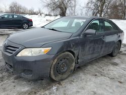 Salvage cars for sale from Copart London, ON: 2010 Toyota Camry Base