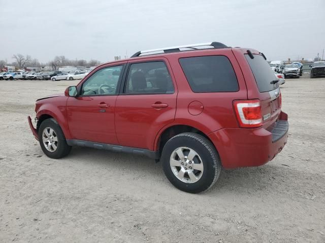 2011 Ford Escape Limited