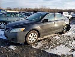 Toyota salvage cars for sale: 2010 Toyota Camry Base