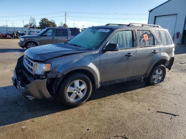 2009 Ford Escape XLT