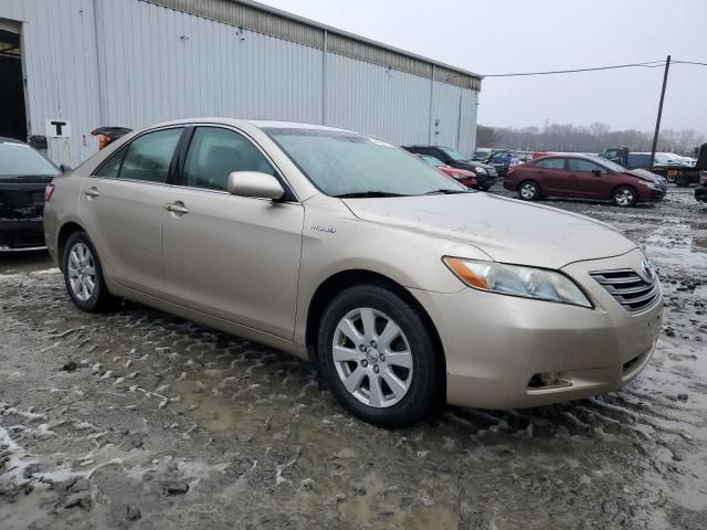 2007 Toyota Camry Hybrid