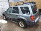 2006 Ford Escape XLT