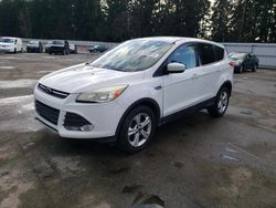 Salvage cars for sale at Arlington, WA auction: 2014 Ford Escape SE