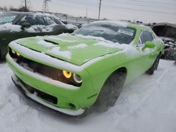 Salvage cars for sale at Elgin, IL auction: 2023 Dodge Challenger GT