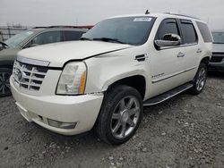 Cadillac salvage cars for sale: 2007 Cadillac Escalade Luxury