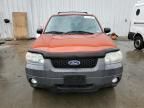 2007 Ford Escape XLT