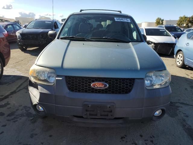 2007 Ford Escape XLT