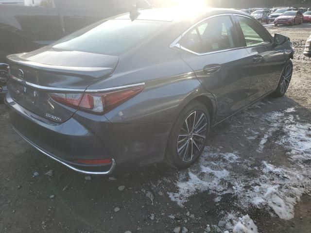 2024 Lexus ES 300H Base