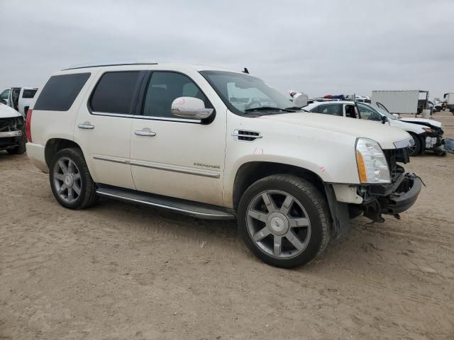 2009 Cadillac Escalade Luxury