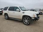 2009 Cadillac Escalade Luxury