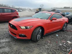 Salvage cars for sale at auction: 2016 Ford Mustang