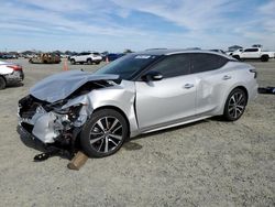 Salvage cars for sale at Antelope, CA auction: 2023 Nissan Maxima SV