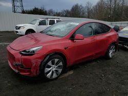 2023 Tesla Model Y en venta en Windsor, NJ