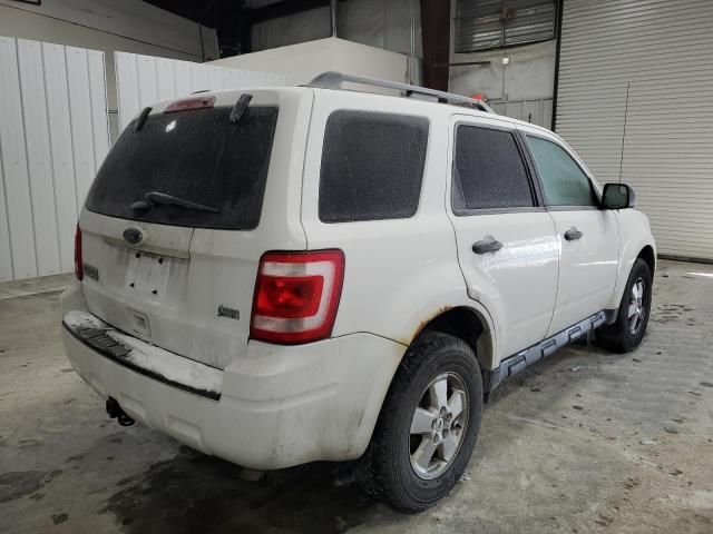 2012 Ford Escape XLT