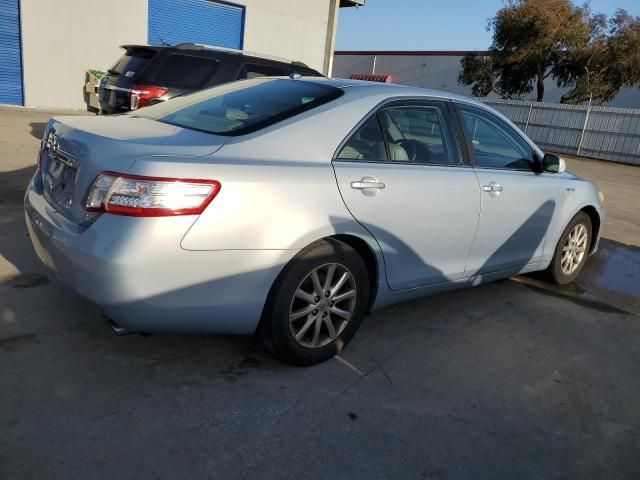 2010 Toyota Camry Hybrid