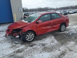 Salvage cars for sale from Copart Ellwood City, PA: 2010 Toyota Corolla Base