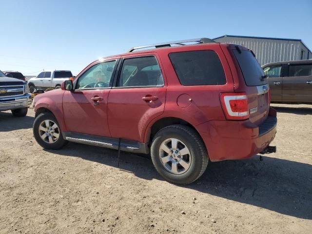 2011 Ford Escape Limited