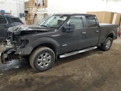 Salvage trucks for sale at Ham Lake, MN auction: 2014 Ford F150 Supercrew