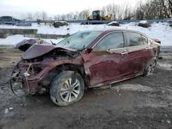 Honda Vehiculos salvage en venta: 2013 Honda Accord LX