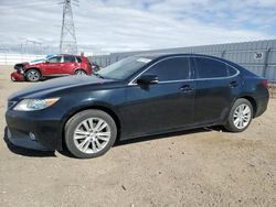 Salvage cars for sale at Adelanto, CA auction: 2014 Lexus ES 350