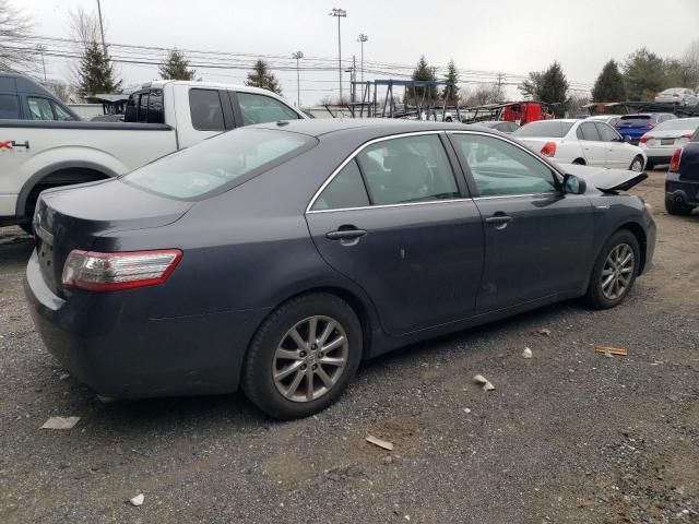 2011 Toyota Camry Hybrid