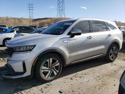 2023 KIA Sorento EX en venta en Littleton, CO